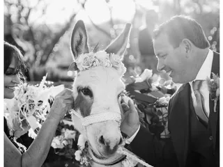 Tucson Event Rentals