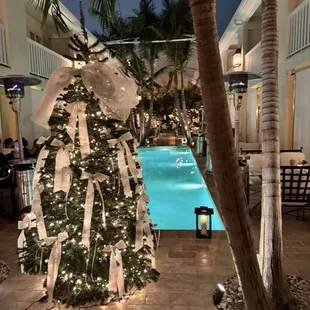 christmas tree by the pool!