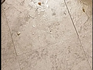 Banquet Halls of the Midsouth