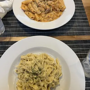 Fettuccine Alfredo and Rigatoni with Pink Sauce