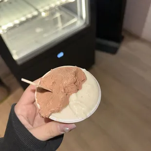 Gianduia Chocolate Hazelnut Gelato, Madagascar Vanilla Gelato