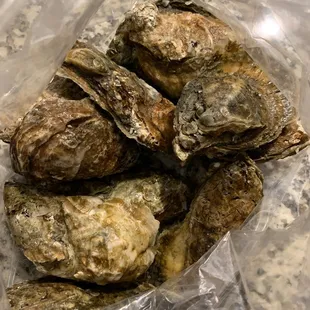 Fresh raw oysters