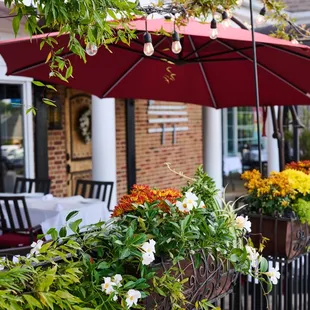 Beautiful Patio