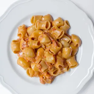 pasta dish, food, pasta