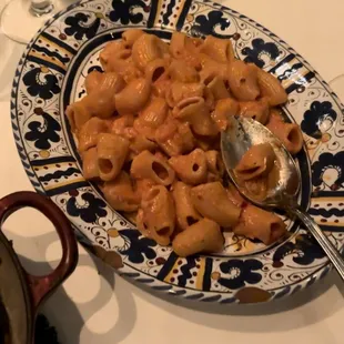 Spicy Vodka Rigatoni