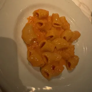 Spicy rigatoni