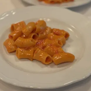 Spicy Rigatoni Vodka