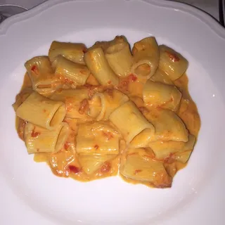 Spicy Rigatoni Vodka