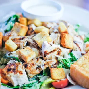 Chicken Caesar Salad