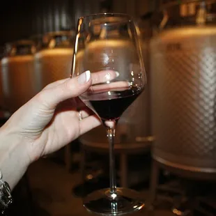 With dessert we had the Teroldego from Grand Valley CO. This red wine had a bold freshness and a taste of expressive alpine fruit.