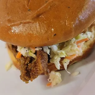 a pulled pork sandwich on a plate