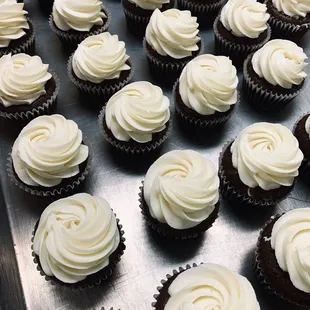 Chocolate cupcakes, cream cheese frosting