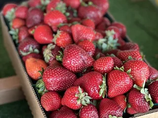 Kao’s Strawberry Farm