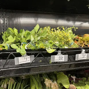 a variety of vegetables on display
