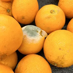 a lot of oranges