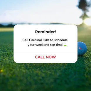 Making weekend plans? Call us &quot;fore&quot; your tee time!