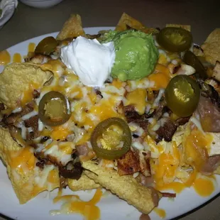 Combination Fajita Nachos