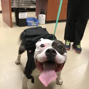 Sweet Eleanor coming for a visit!