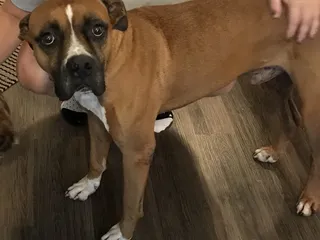 Tulsa General Veterinary Hospital