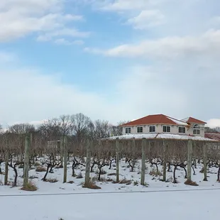 Winter can be a good time to enjoy wine too!