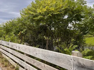 DuBarry Park