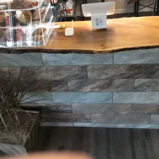 a counter with a plant on it
