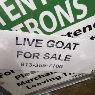 Anyone need a goat?