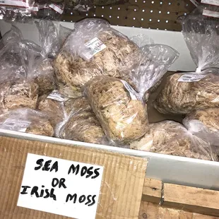 Plenty sea moss