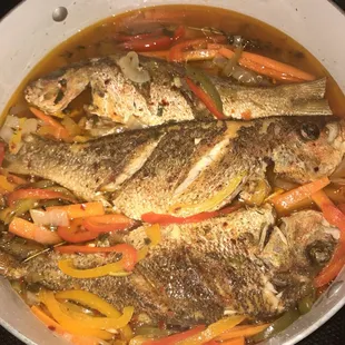 ESCOVITCH RED SNAPPER