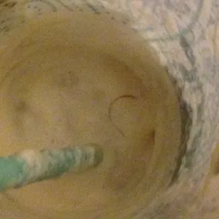 A piece of hair that I found in my drink. DISGUSTING!