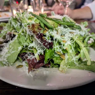 The Carina salad. $14. Mixed field greens, haricot verts, toasted pepitas, pecorino romano, citrus vinaigrette.