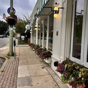 Lovely planter boxes of flowers