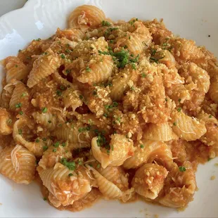 Conchiglie w/Crab, Red Sauce &amp; Calabrian Chili