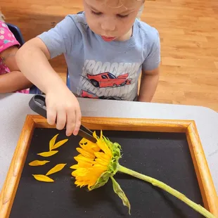 Fine motor skills, attention to detail, pincer muscles and concentration. Wowwww!