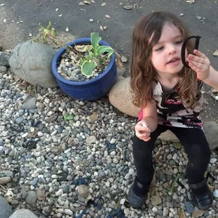 Gone fishing in the Alphabet Creek!