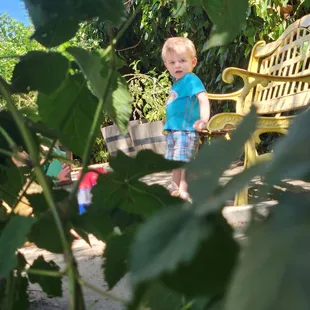 Nature Inspired every day