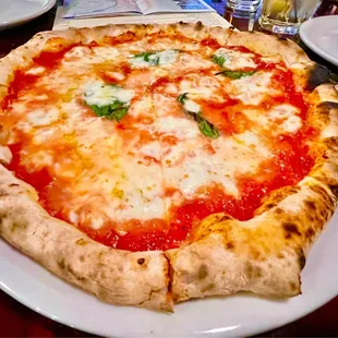 Pizza Margherita