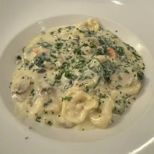 pasta dish, food, pasta