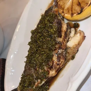 Branzino