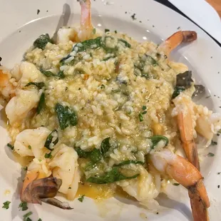 Risotto Gamberi