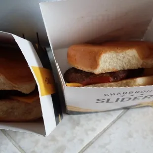 Sad slider hiding in box