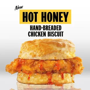 a chicken biscuit sandwich