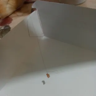 Hair in my food