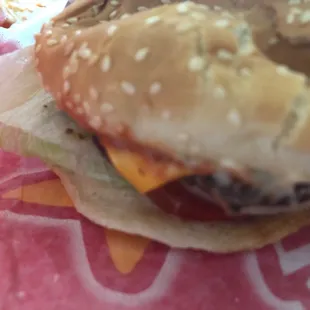 a hamburger and fries