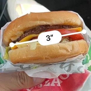 California Classic Double Cheeseburger  Seems to have shrunk.
