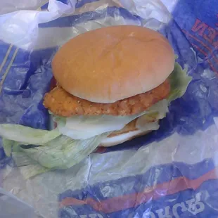 Spicy chicken looks good lots of lettuce