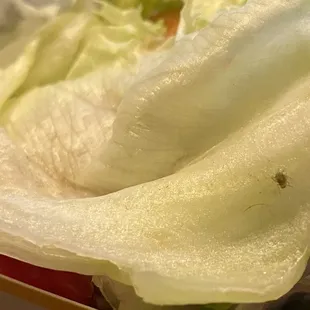 Even though Serina doesn't believe THIS is a bug - it's a bug!