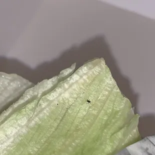 Second lettuce wrapped burger with a black bug on it