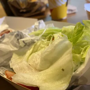 Different angle of same bug