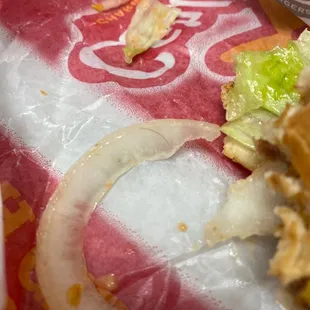 Thank god I noticed this piece of hair on the onion. Almost threw up. Ordered the beyond famous star burger...